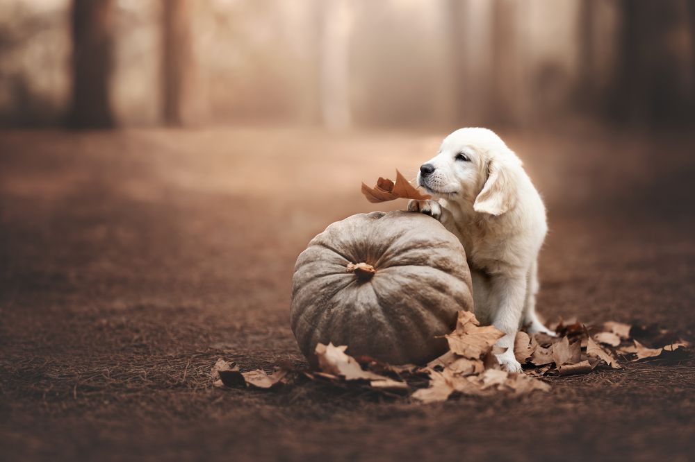 Photograph by Leticia Hernandez