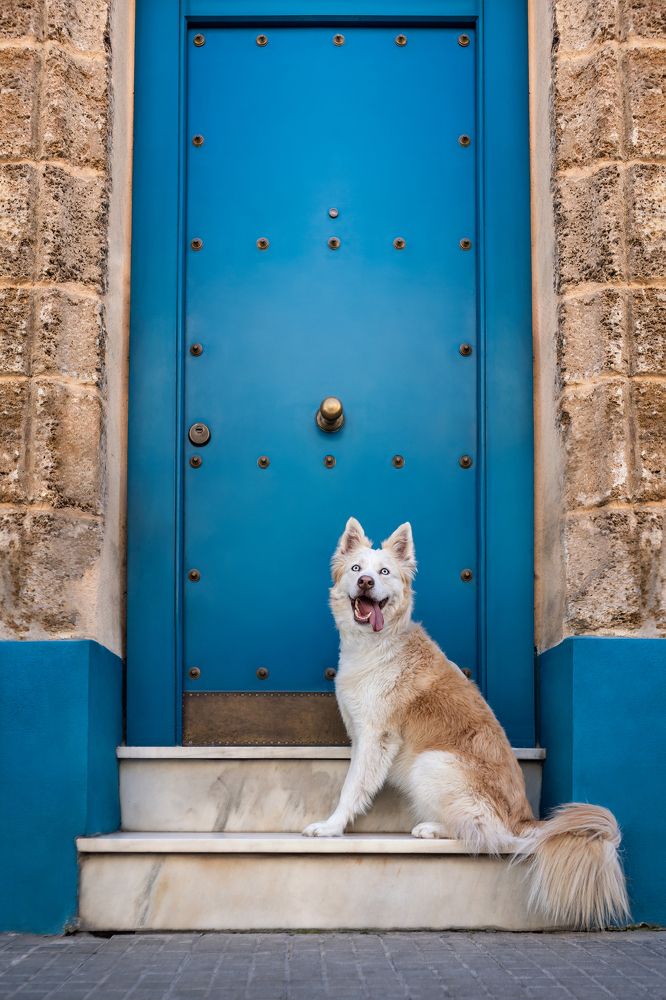 Photograph by Leticia Hernandez