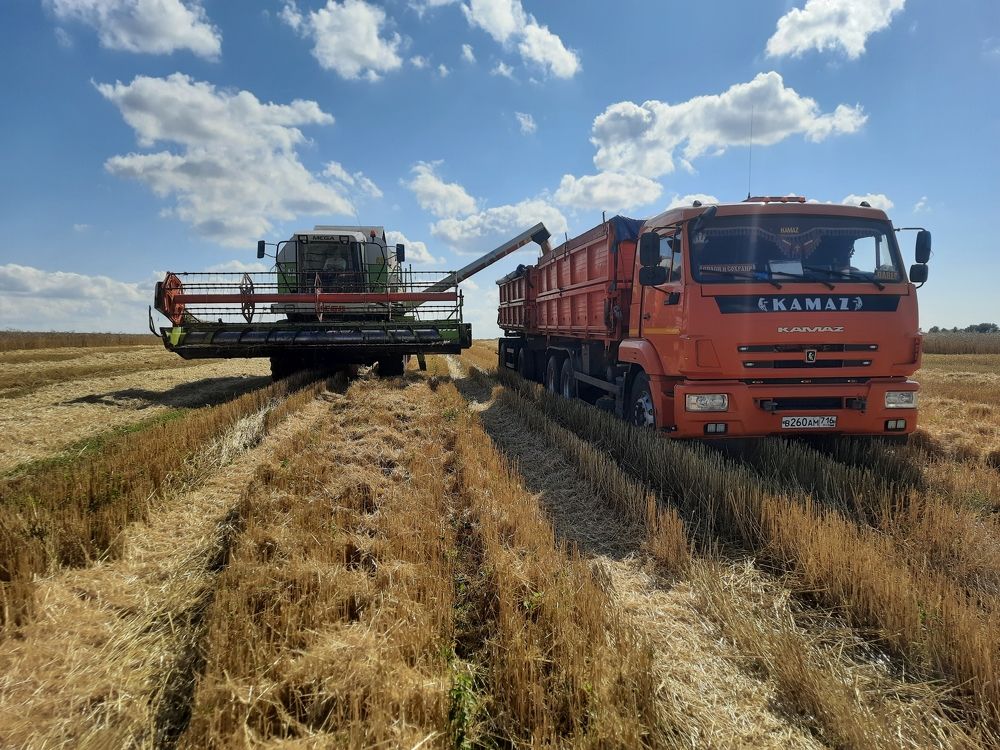 Photograph by Михаил Абдуллин