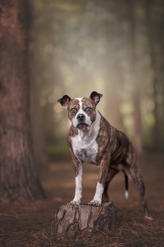 Photograph by Leticia Hernandez