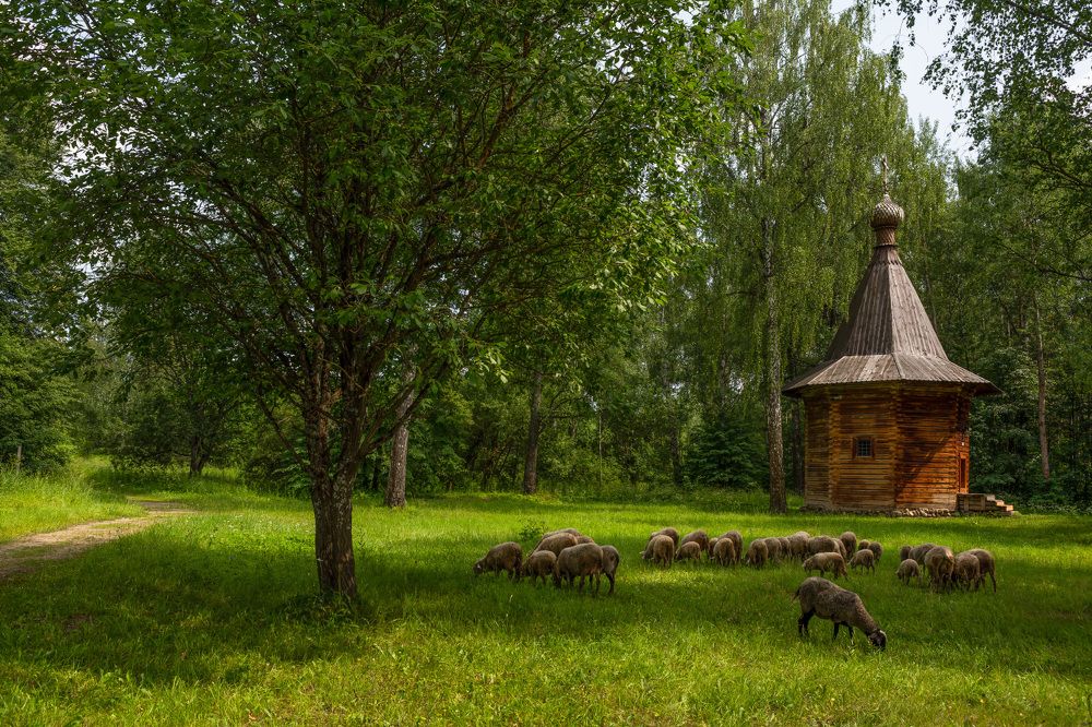 Photograph by Марина Короткова