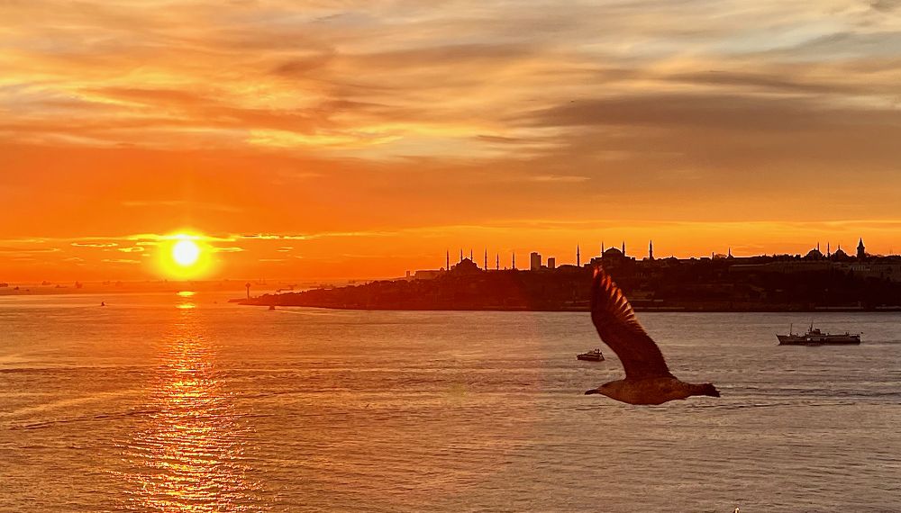 Photograph by Ahmet Aka