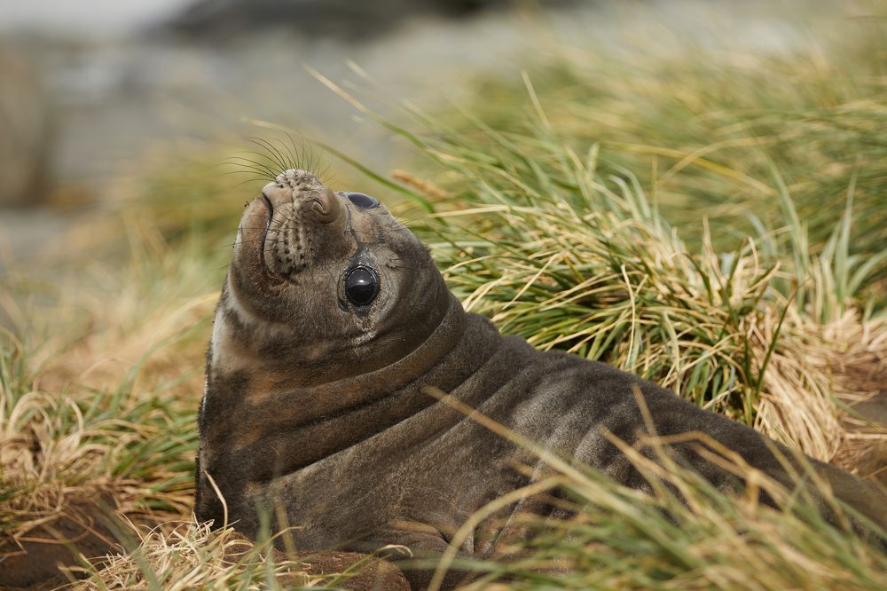 Фотография автора Boris Konovalov