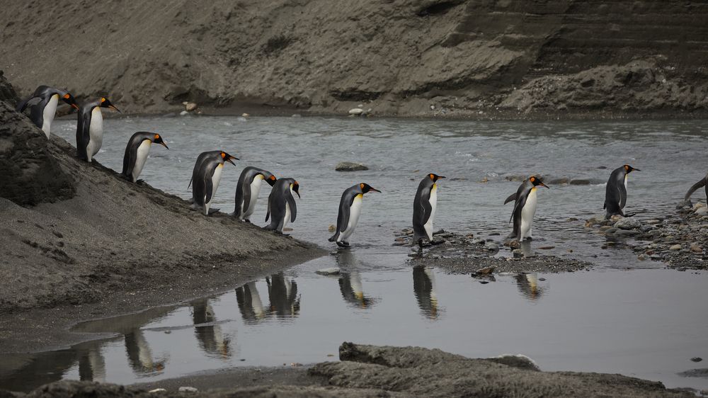 Фотография автора Boris Konovalov