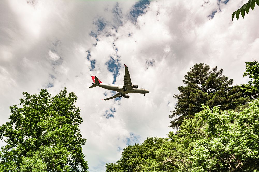 Photograph by Артём Александрович