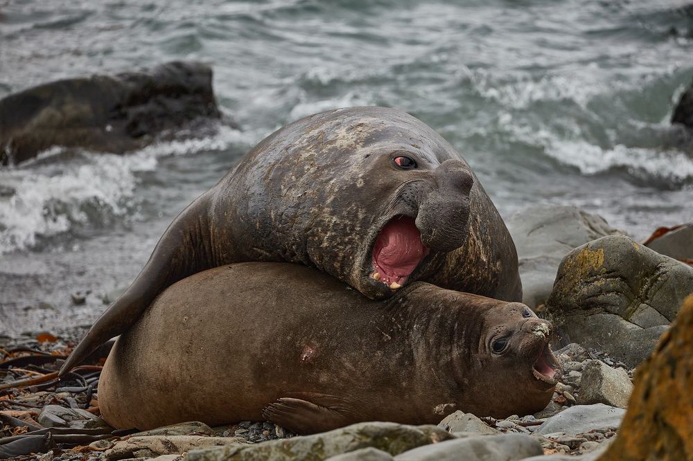 Фотография автора Boris Konovalov