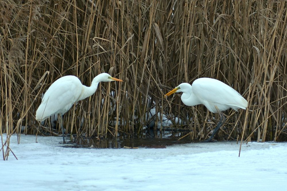 Photograph by Владислав Иопек