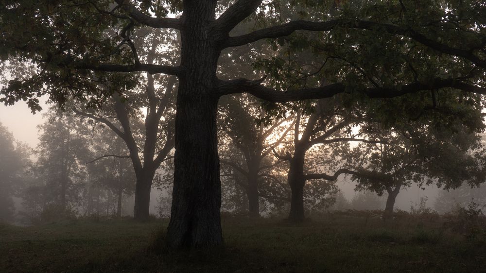 Photograph by Николай