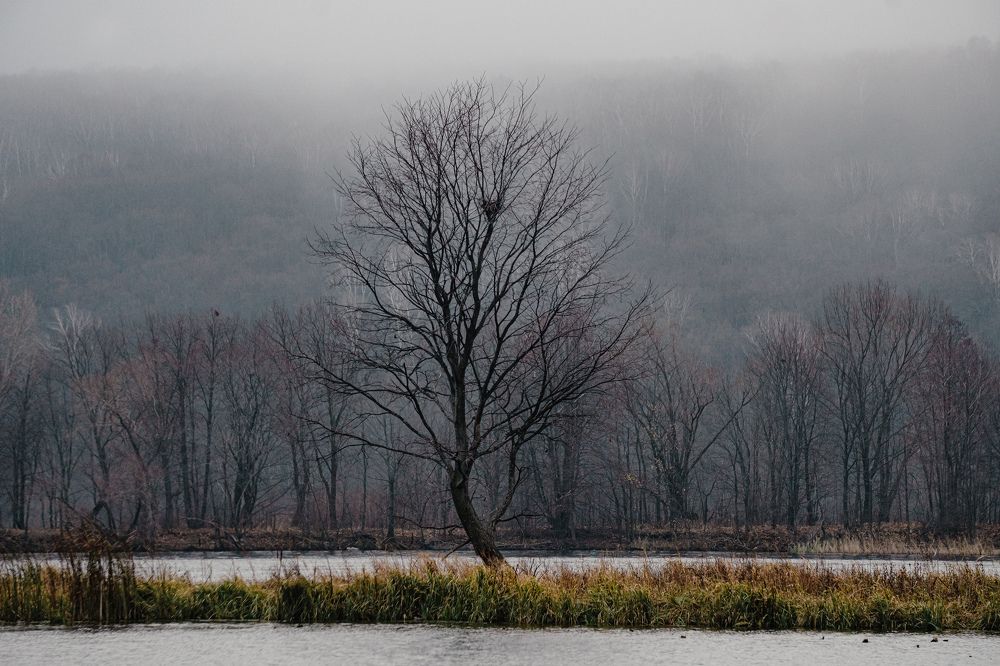 Photograph by Николай