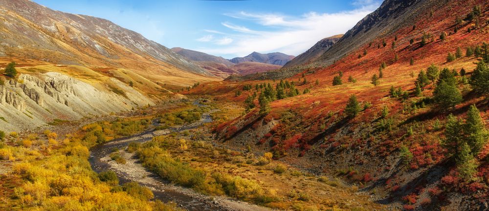 Фотография автора Boris Konovalov