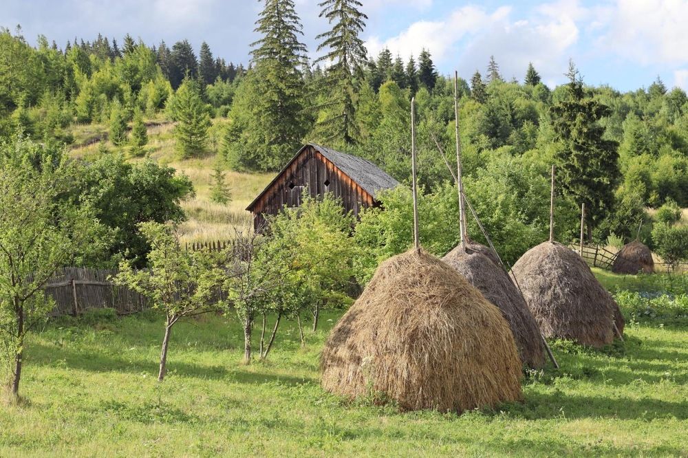 Photograph by Dragos Onofrei