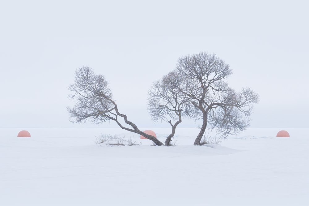 Photograph by Анжелика Титова