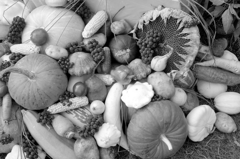 Photograph by Ирина Федичева