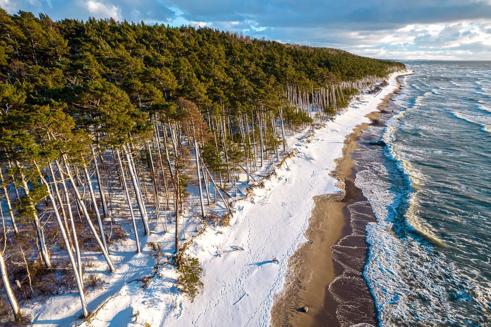 Фотография автора Viaceslavas Bazykas