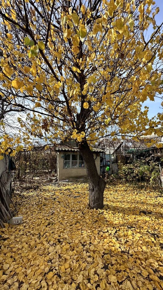 Photograph by Мария Алейникова