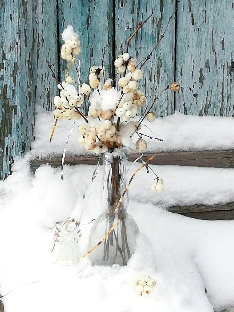 Photograph by Galina Novichkova