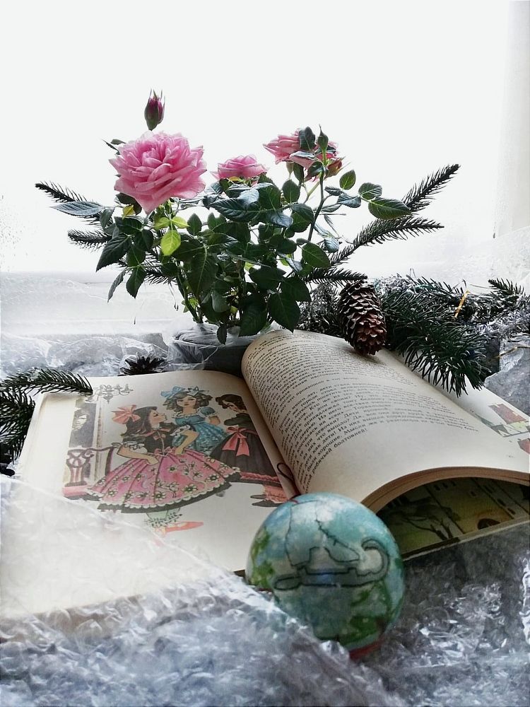 Photograph by Galina Novichkova