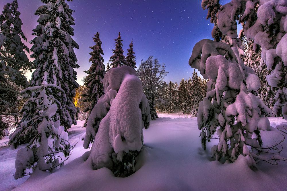 Фотография автора Владислав Храмцов