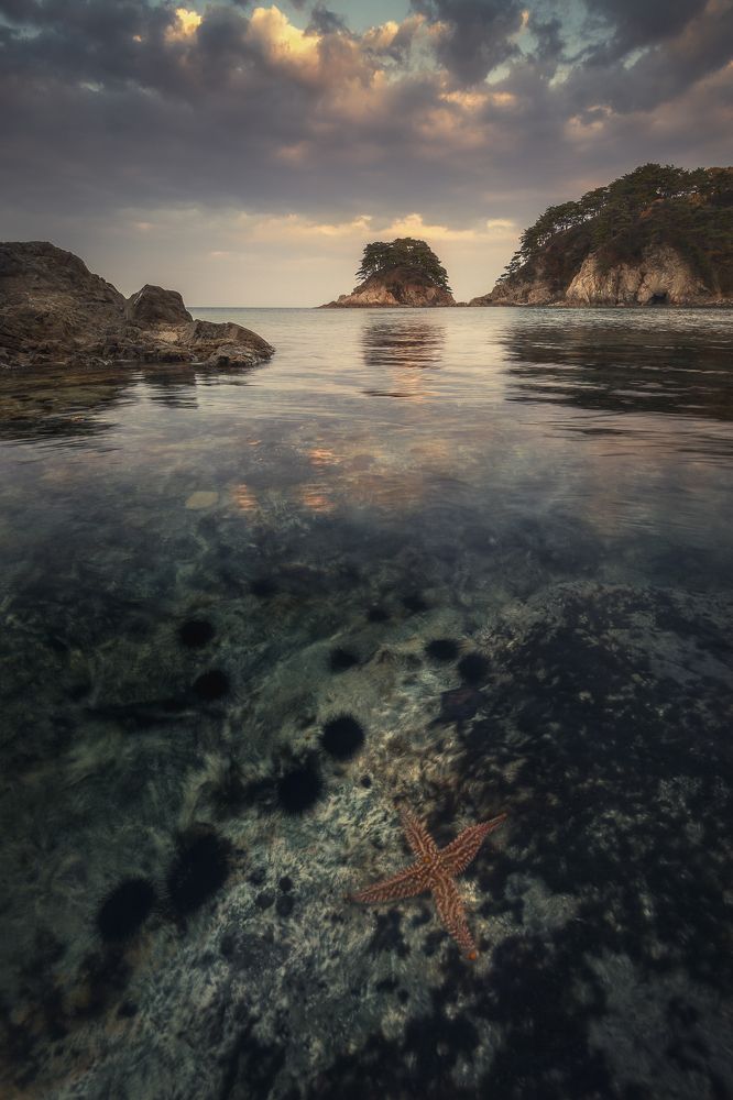 Блюз Японского моря