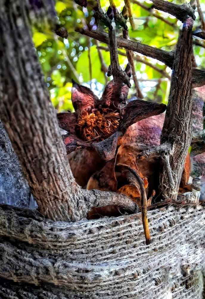 Photograph by aref rafiepour