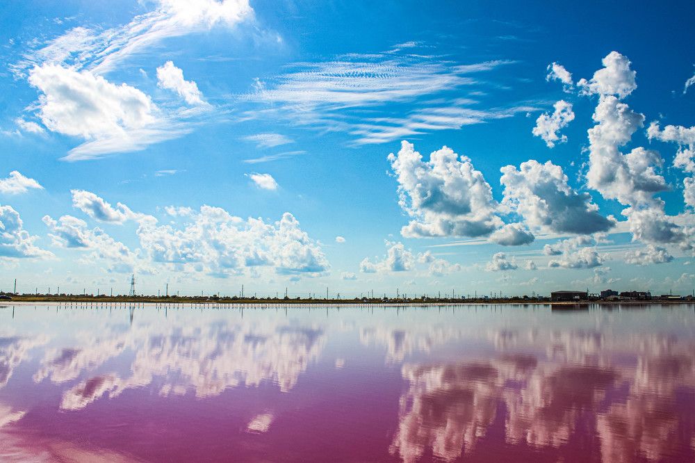 Photograph by Дмитрий Свинухов