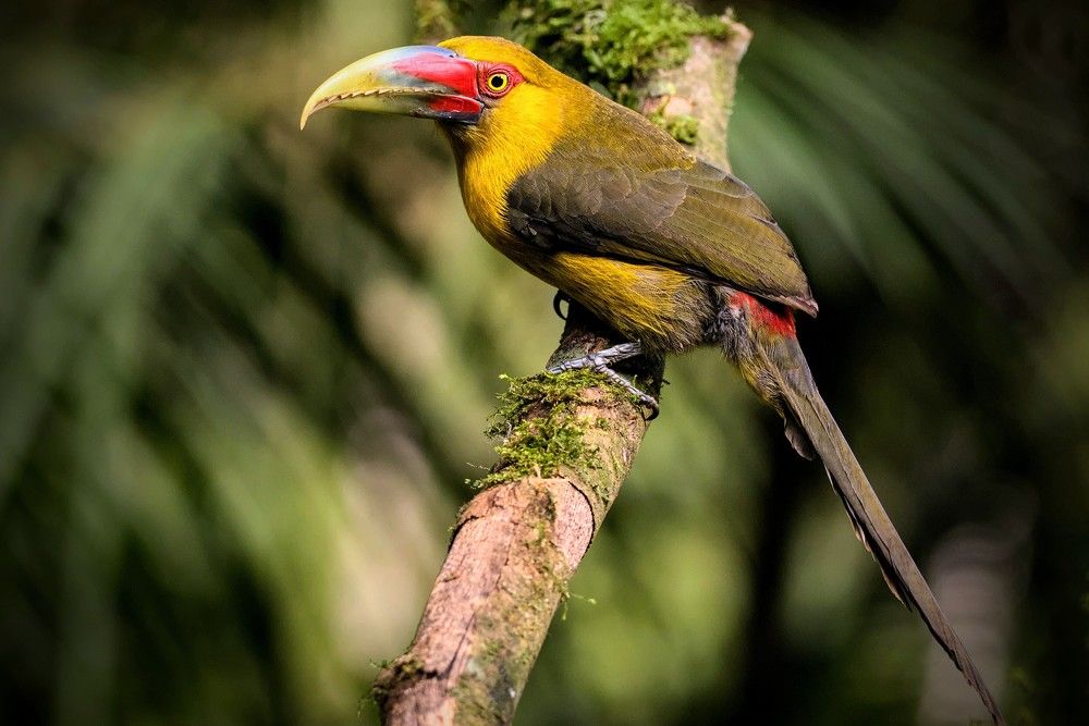 Photograph by Eduardo Bom