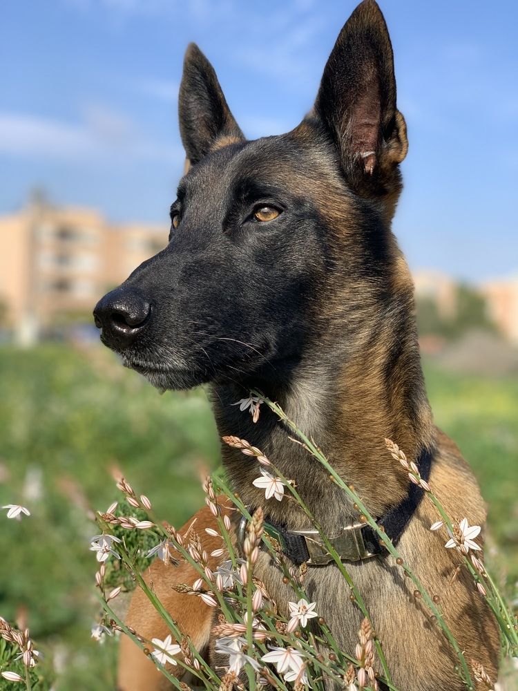 Photograph by Оксана Коваль