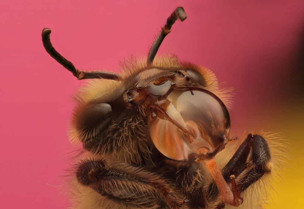 Photograph by Антон Сидоров