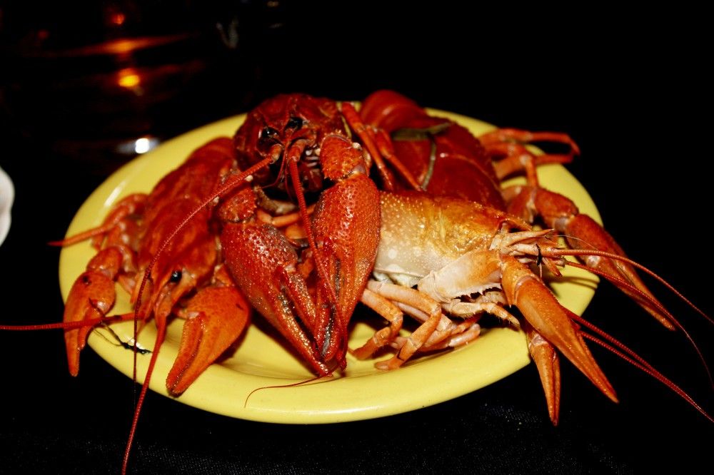 Photograph by Дмитрий Симагин