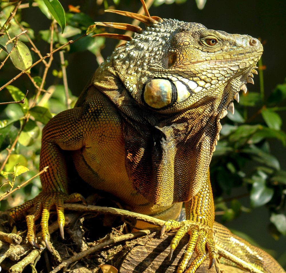 Photograph by Raul luciano dos santos