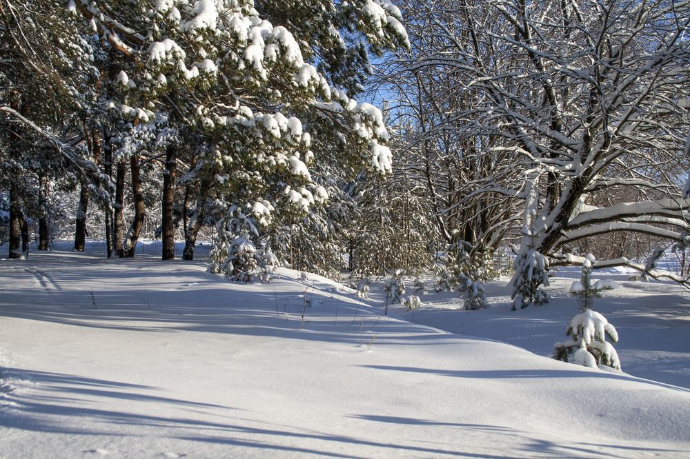 Photograph by Вера Почкалина