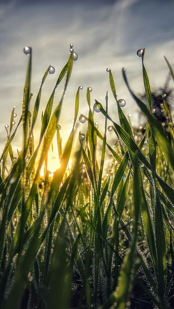 Photograph by Natalia Bolotenkova