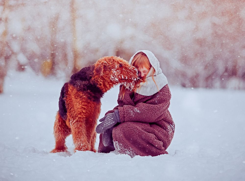 Photograph by Ирина Шейкина