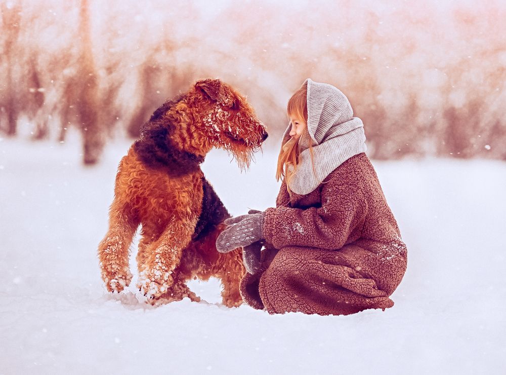 Photograph by Ирина Шейкина