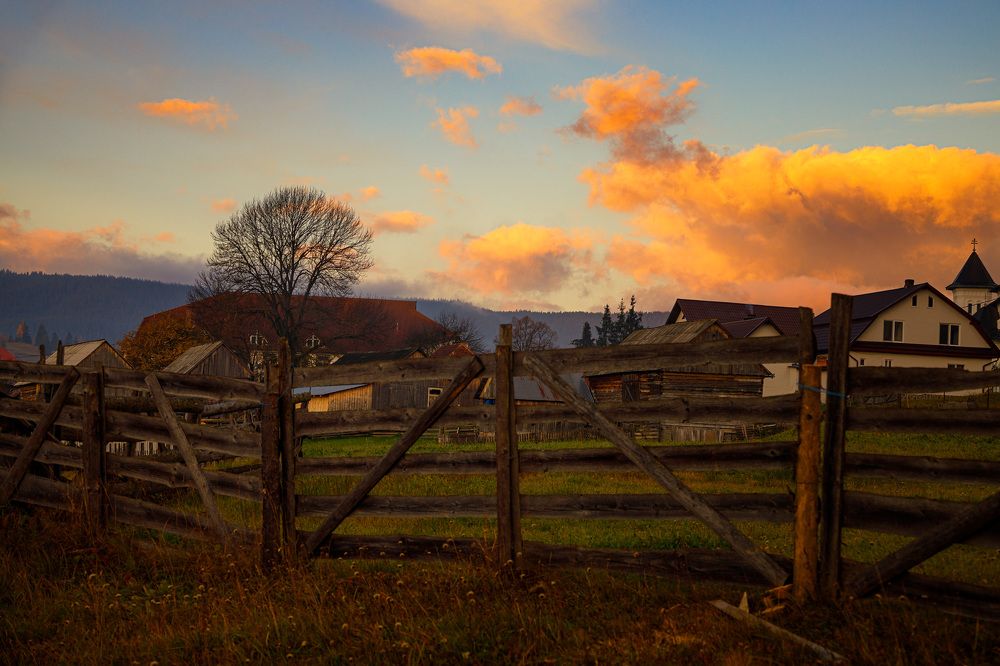 Фотография автора Cornelia Ghergut