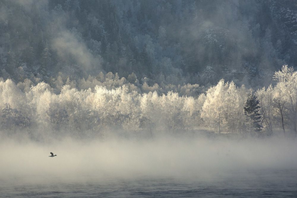 Photograph by VLADIMIR VOROBIEV