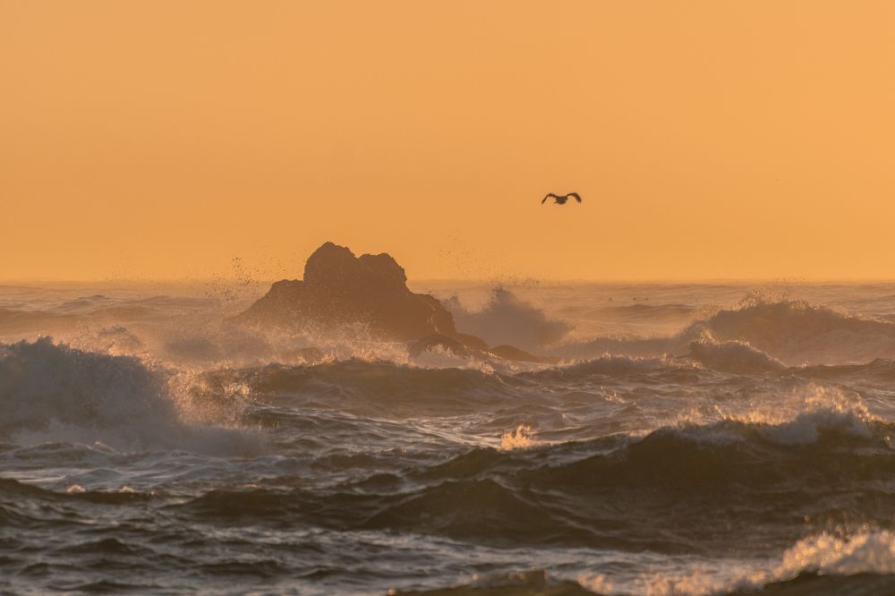 Photograph by Наталья Королева