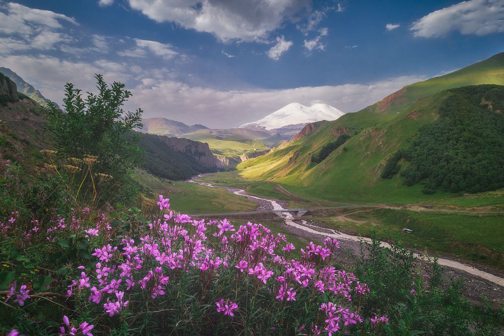 Photograph by Костенко Александр