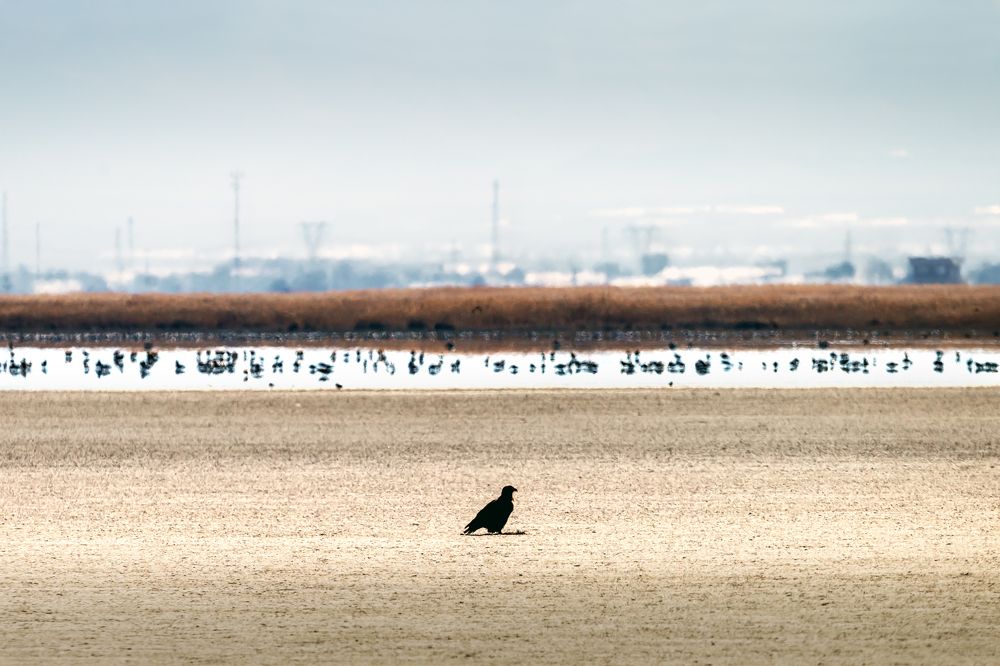 Photograph by Abbas Kalantar