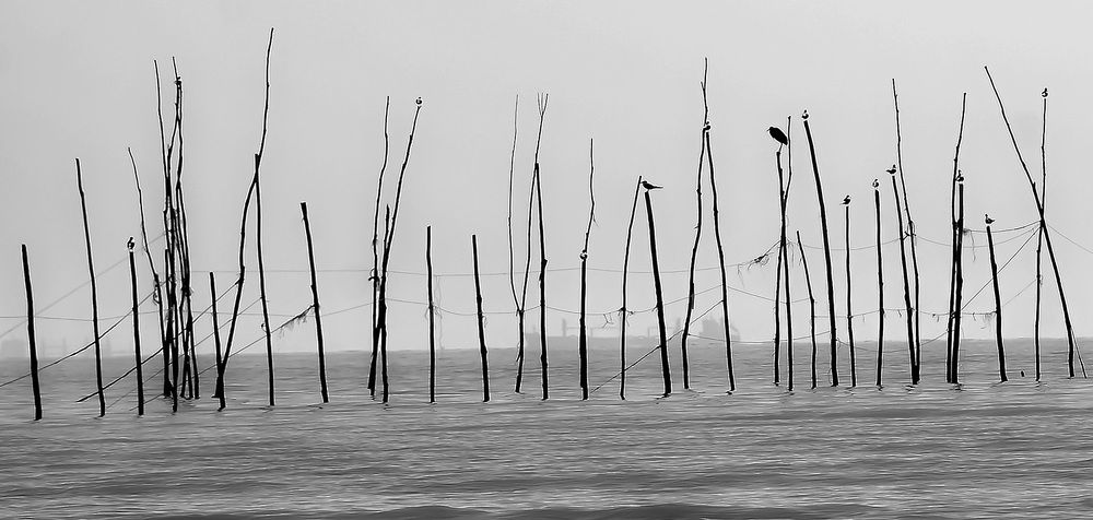 Фотография автора Mohammad Khani