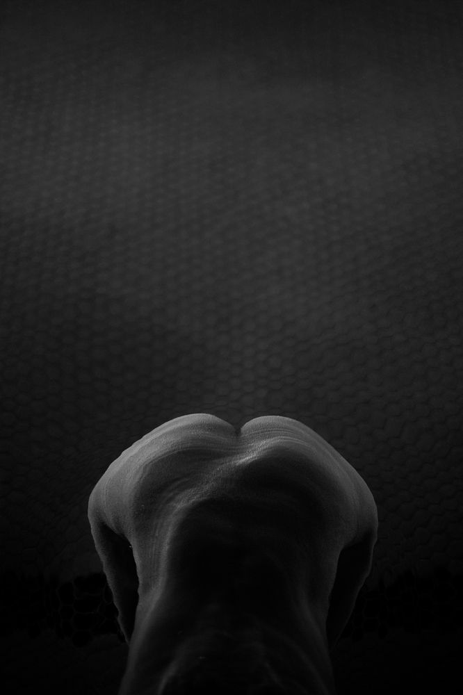 Photograph by FARZ PIC