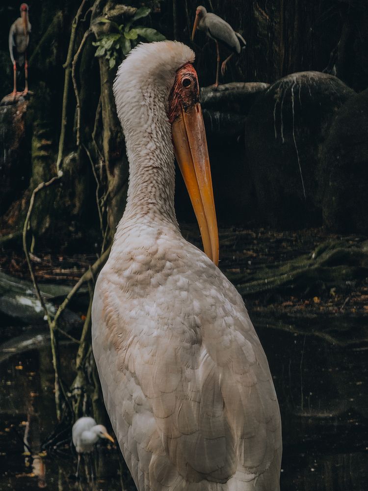Photograph by Ganeswaran Balakrishna