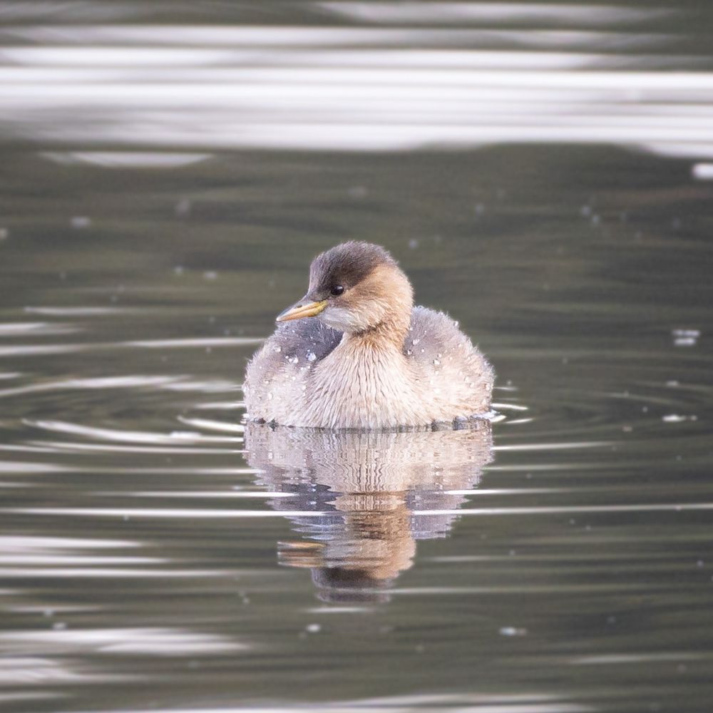 Photograph by Antonis Papaconstantinou