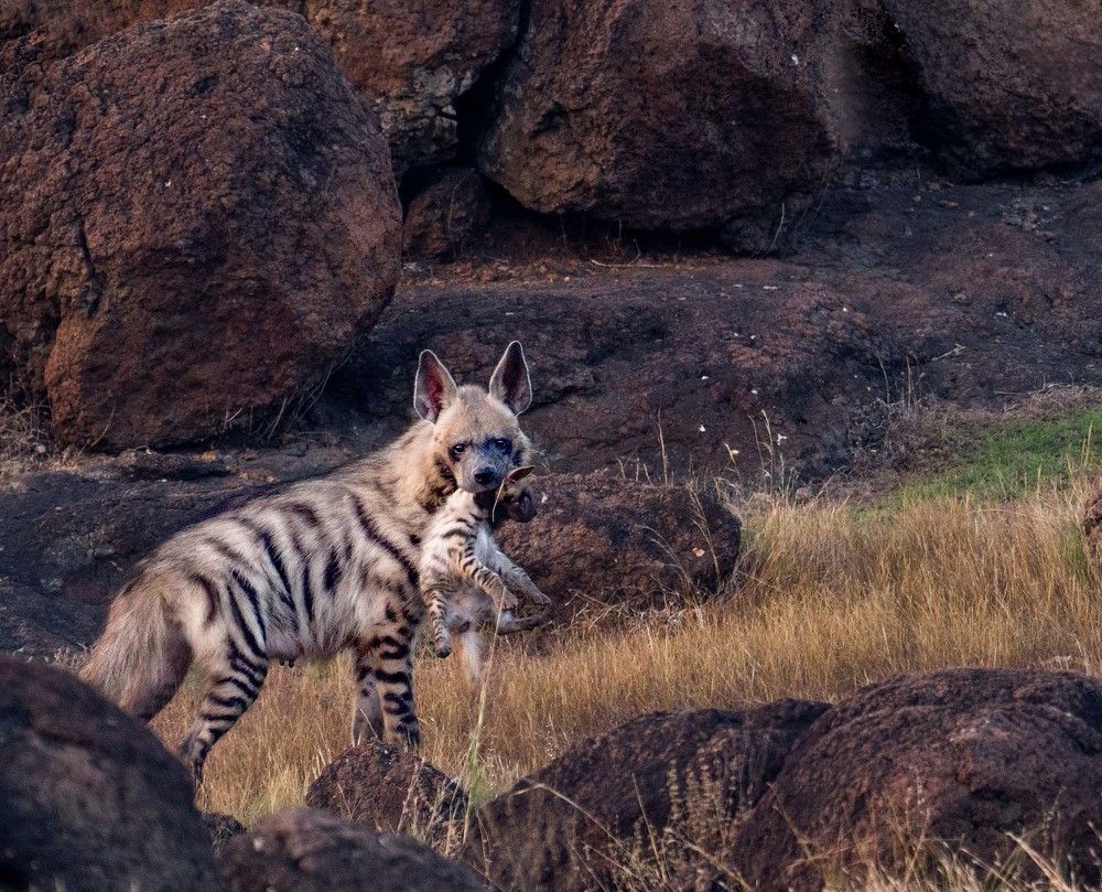 Photograph by VIRAJ PHARANDE