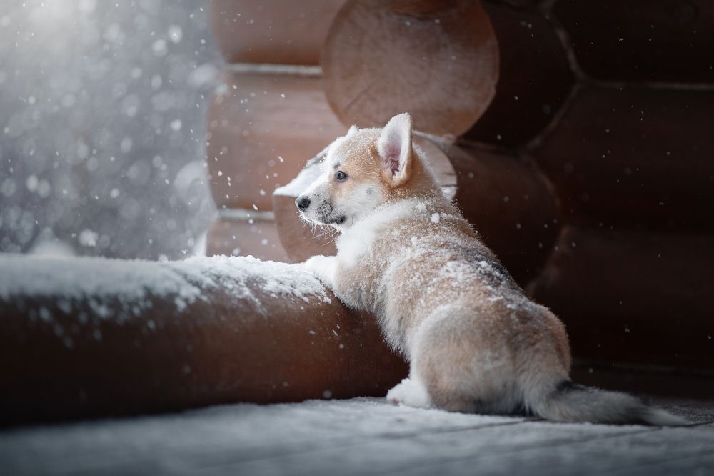 Photograph by Светлана Писарева