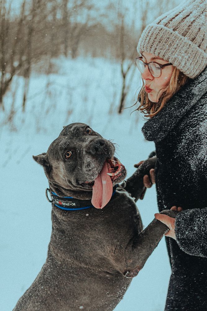 Photograph by Максим Собко