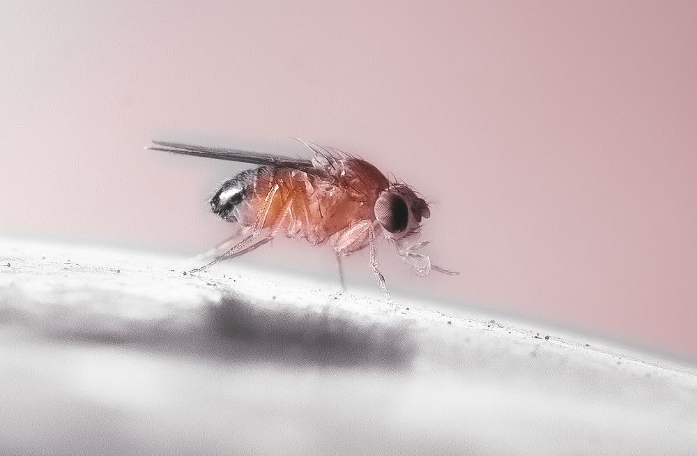 Photograph by Олег Китаев