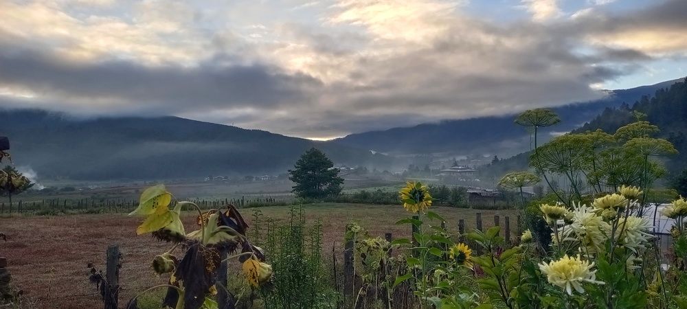 Gaytsa, a happy village