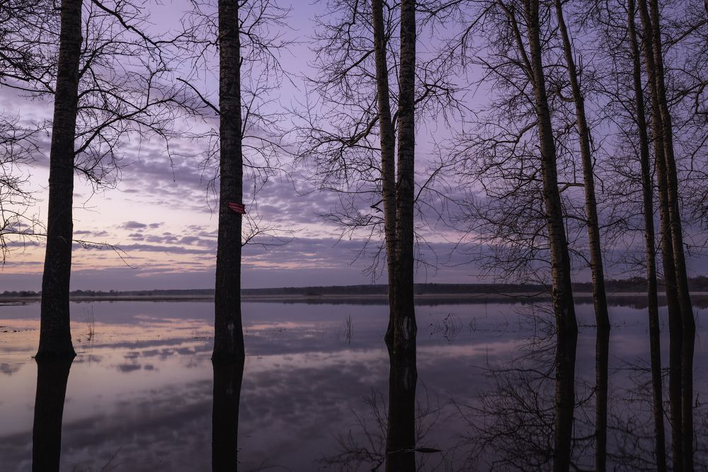 Фотография автора Марина Лукьянова