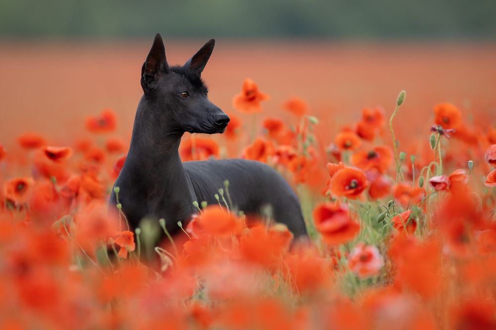 Photograph by Светлана Писарева